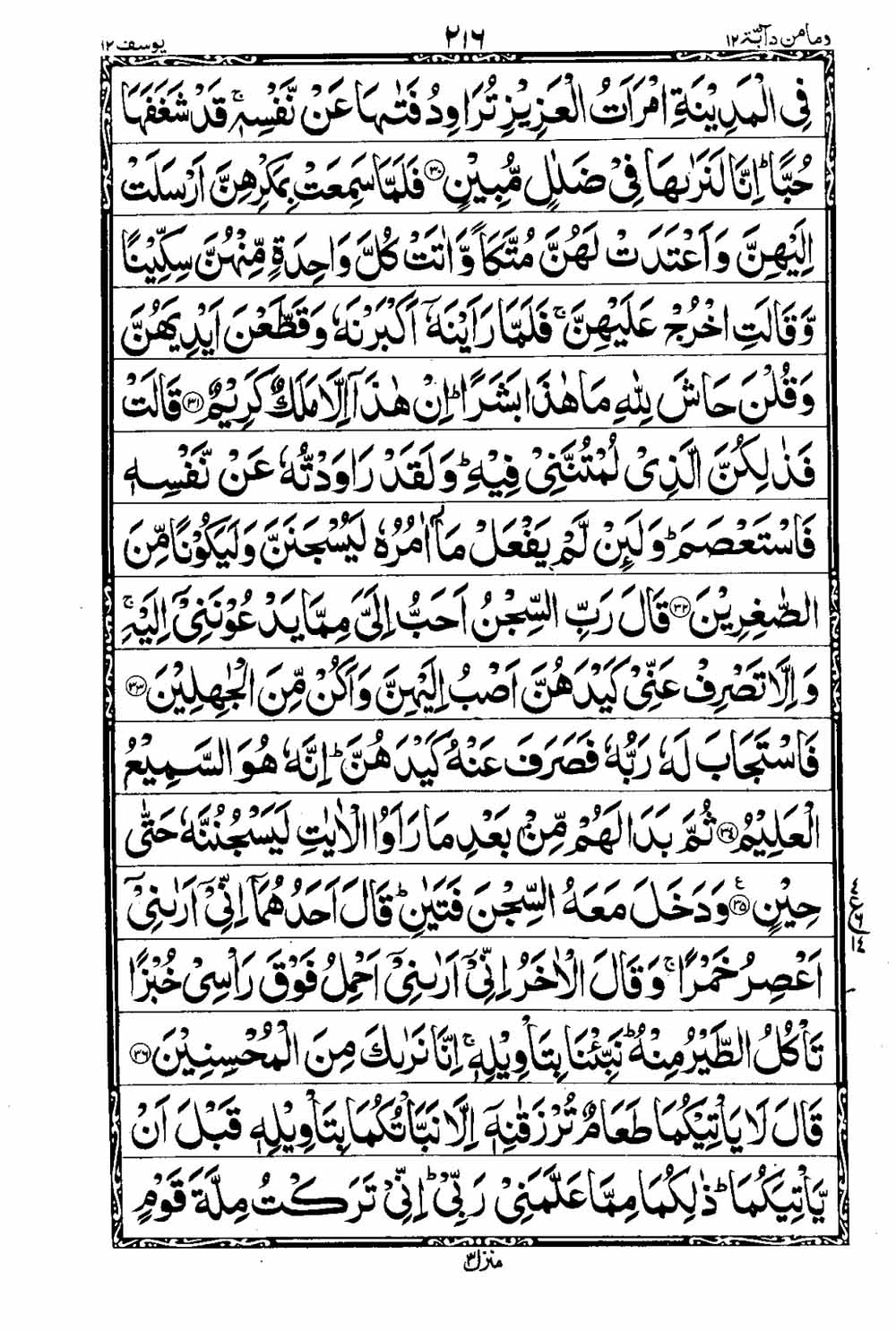Read 16 Lines Al Quran Taj Company Part 12 Page No 217, Practice Quran