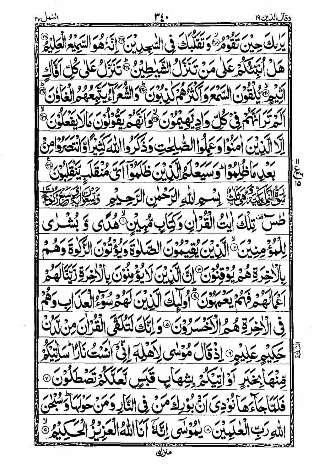 Read 16 Lines Al Quran Taj Company Part 19 Page No 341, Practice Quran