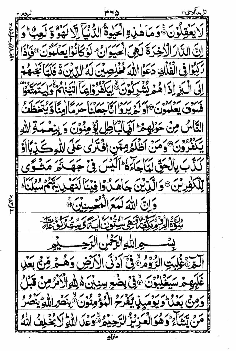 Read 16 Lines Al Quran Taj Company Part 21 Page No 366, Practice Quran