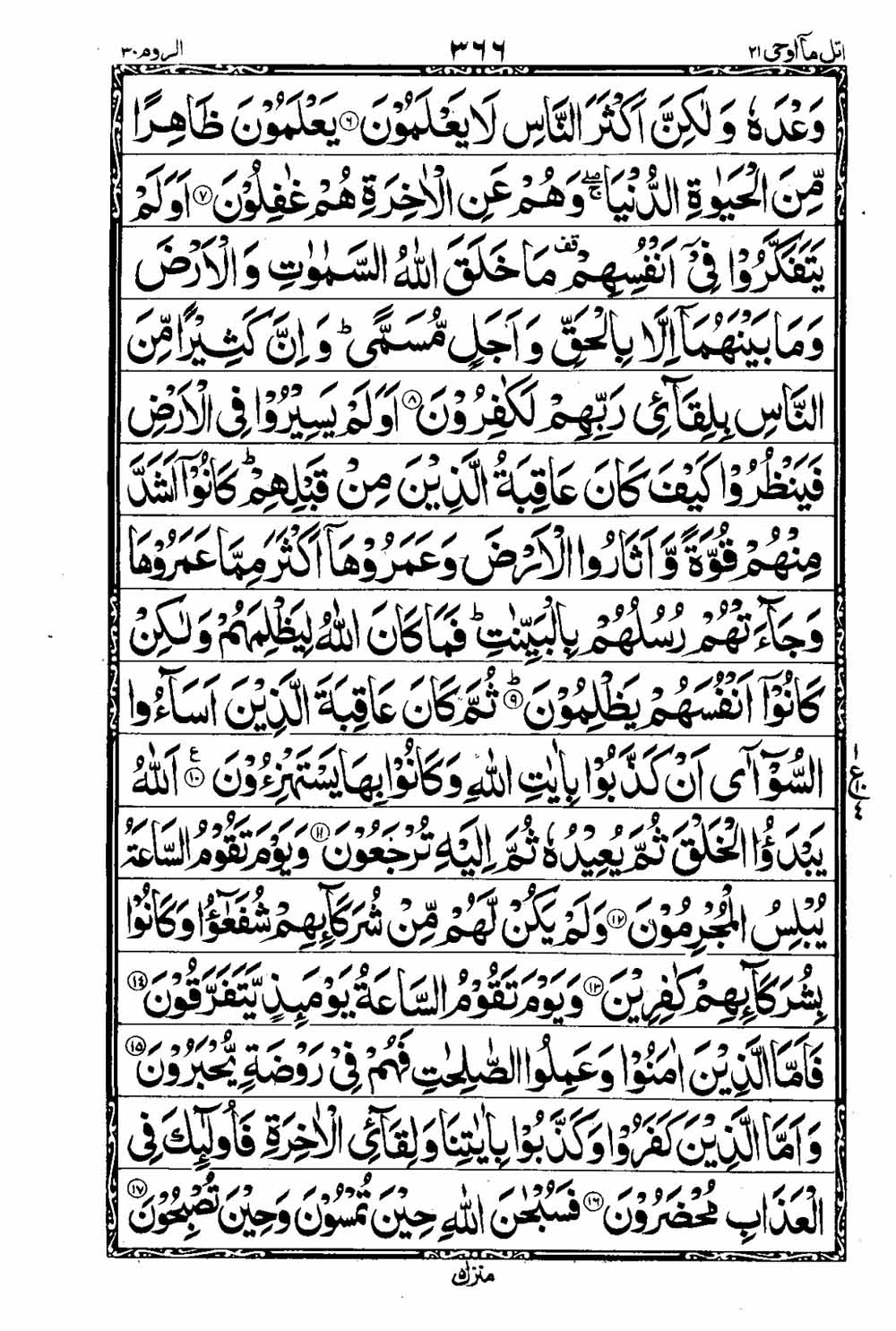 Read 16 Lines Al Quran Taj Company Part 21 Page No 367, Practice Quran