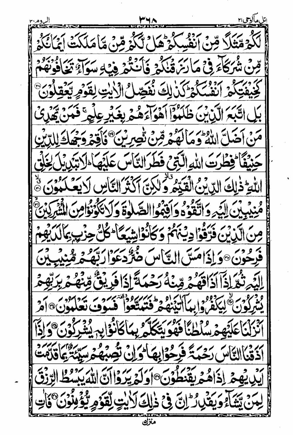 Read 16 Lines Al Quran Taj Company Part 21 Page No 369, Practice Quran