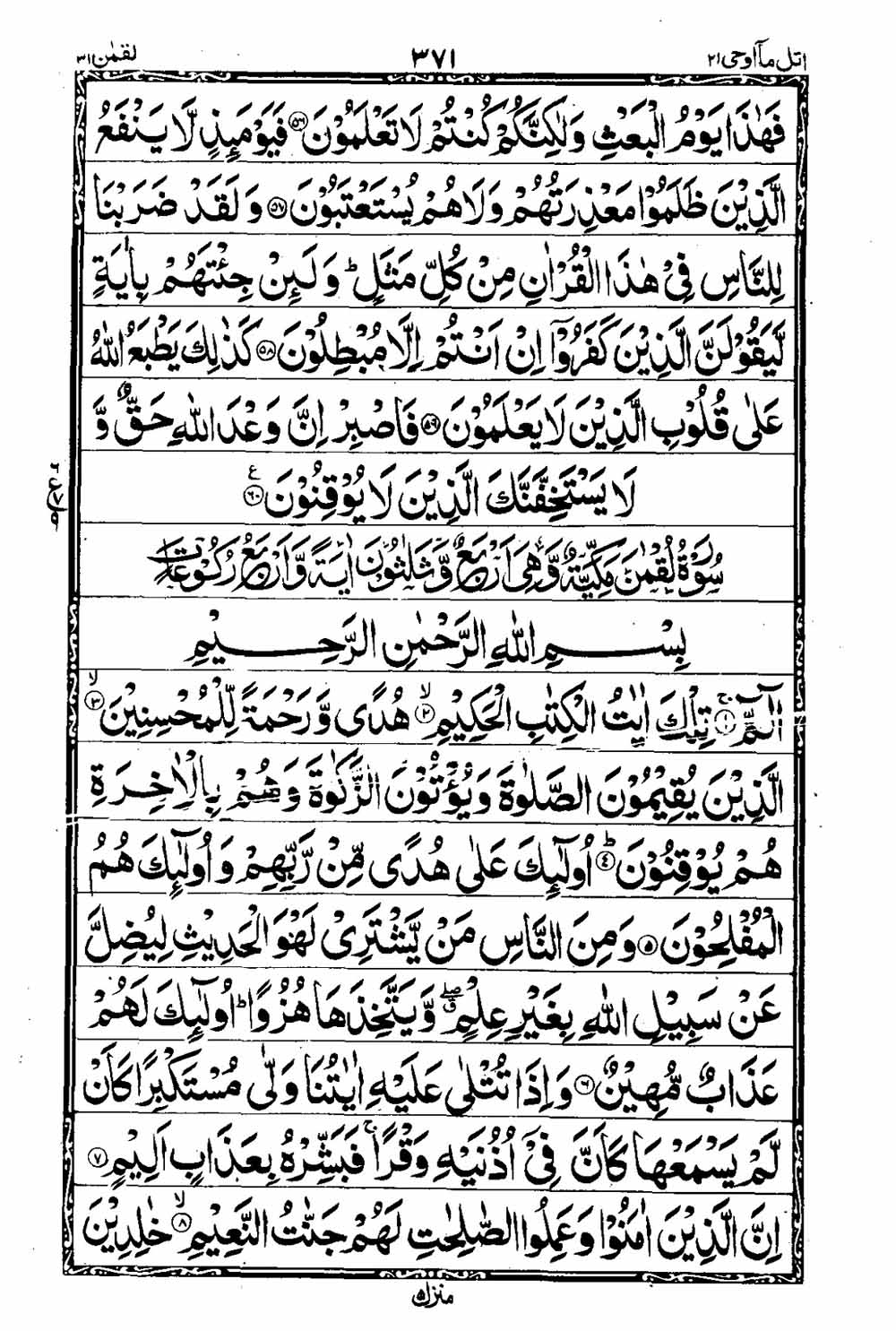 Read 16 Lines Al Quran Taj Company Part 21 Page No 372, Practice Quran