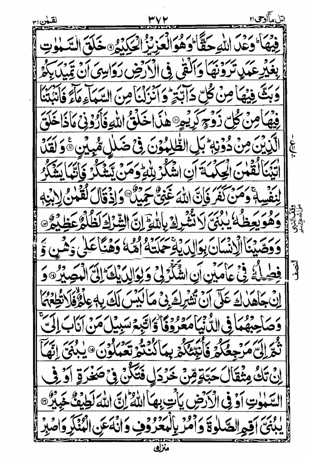 Read 16 Lines Al Quran Taj Company Part 21 Page No 373, Practice Quran