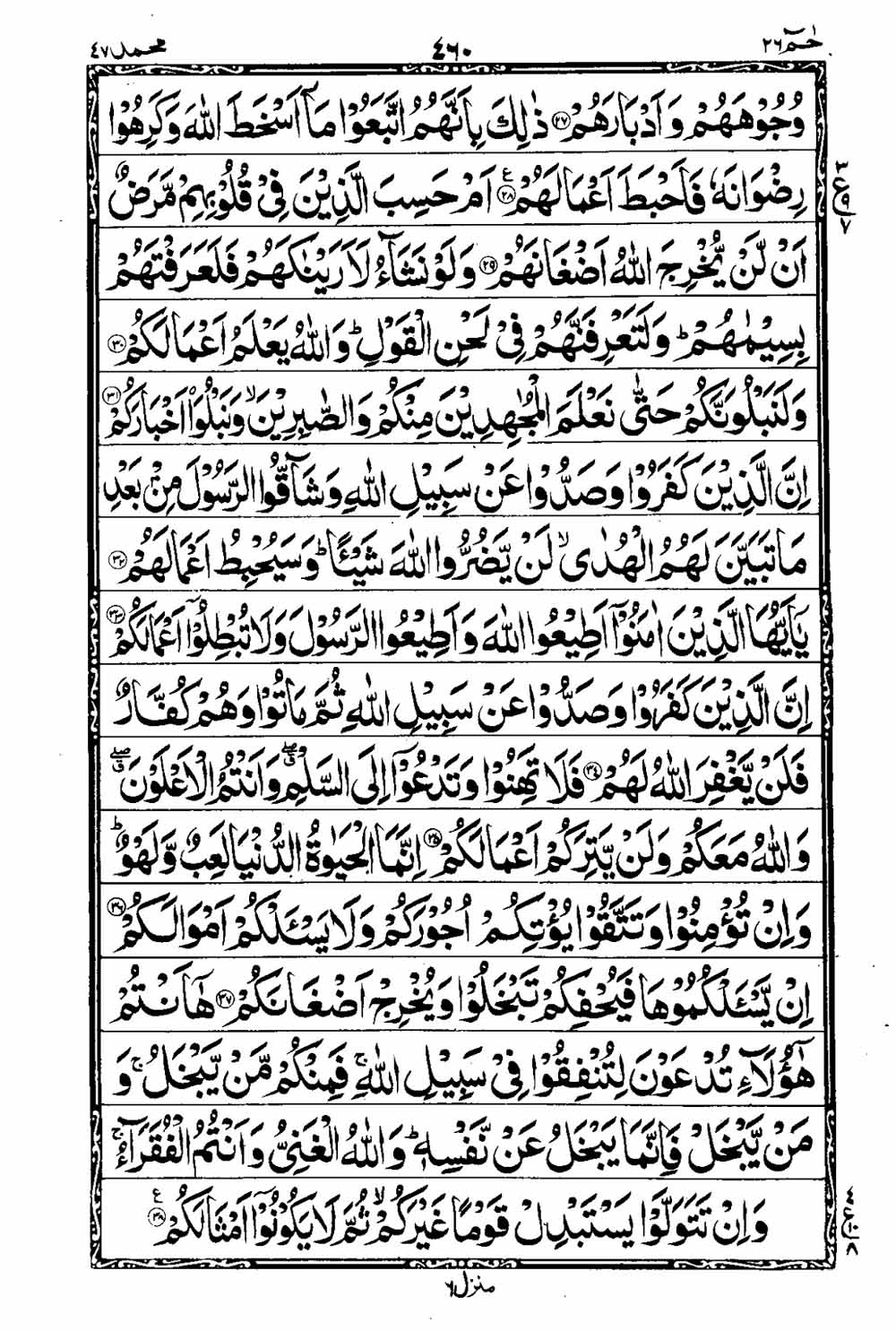 Read 16 Lines Al Quran Taj Company Part 26 Page No 461, Practice Quran