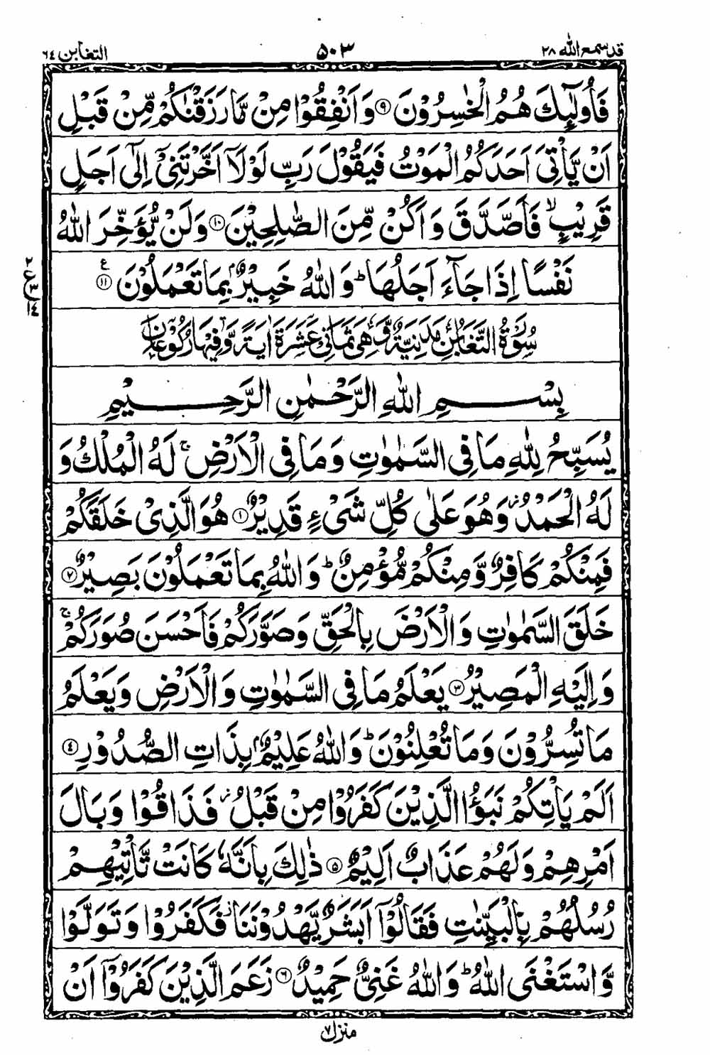 Read 16 Lines Al Quran Taj Company Part 28 Page No 504, Practice Quran