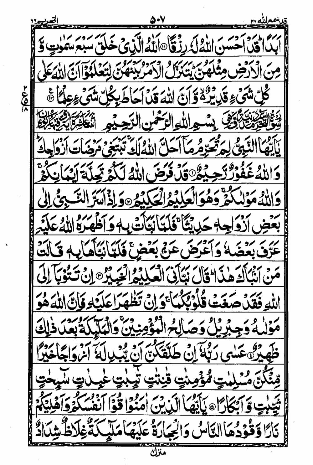 Read 16 Lines Al Quran Taj Company Part 28 Page No 508, Practice Quran