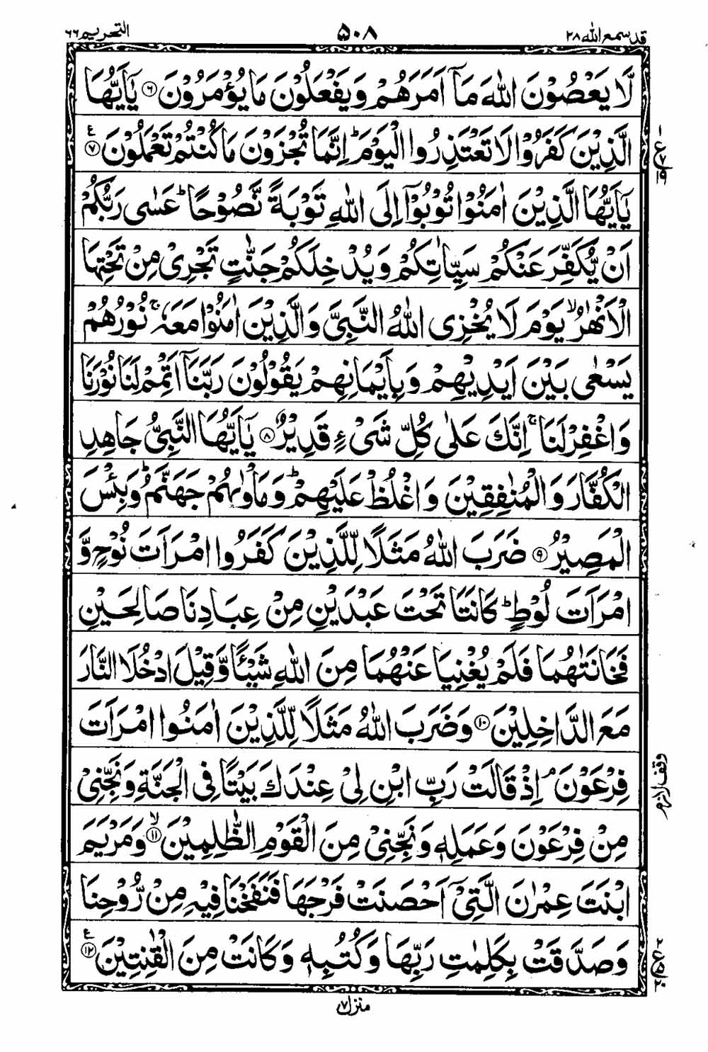 Read 16 Lines Al Quran Taj Company Part 28 Page No 509, Practice Quran