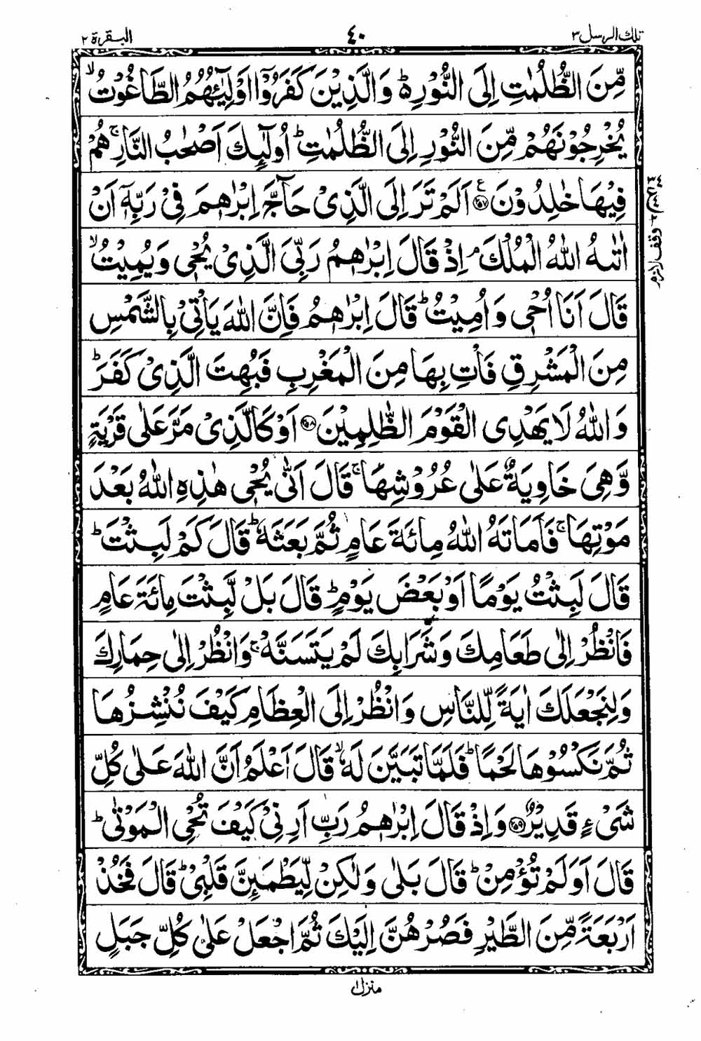 Read 16 Lines Al Quran Taj Company Part 3 Page No 41, Practice Quran