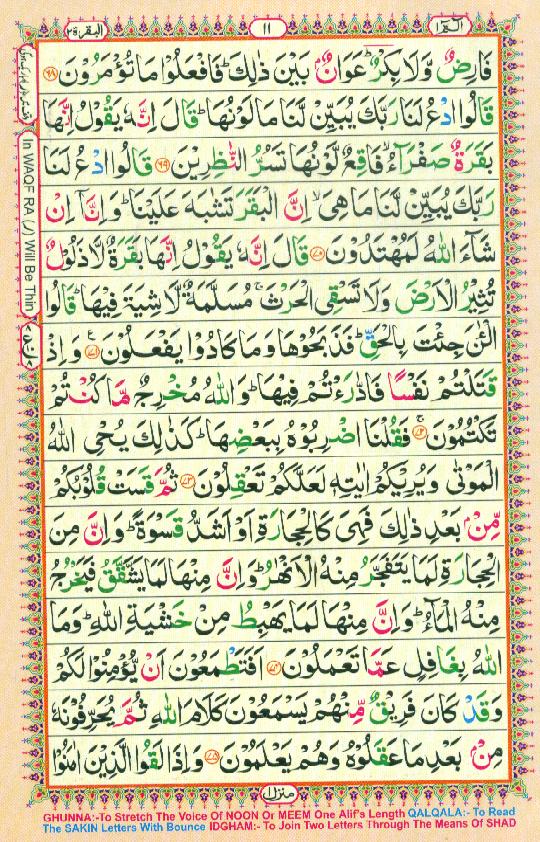 Read 16 Lines Coloured Al Quran Part 1 Page No 11, Practice Quran