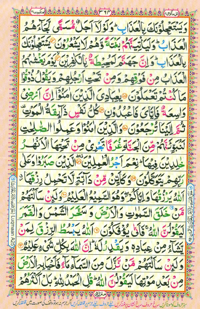 Read 16 Lines Coloured Al Quran Part 21 Page No 364, Practice Quran