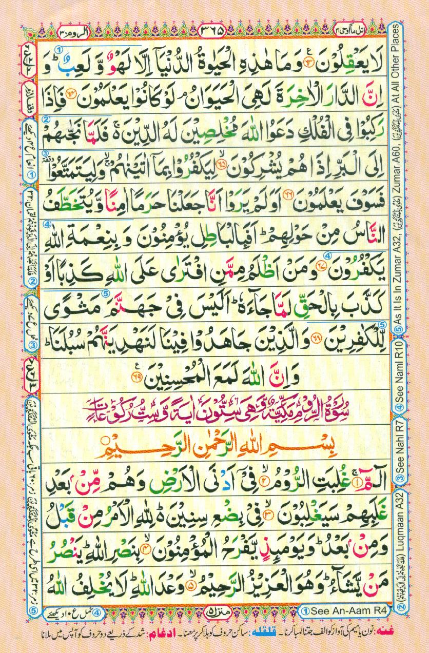 Read 16 Lines Coloured Al Quran Part 21 Page No 365, Practice Quran