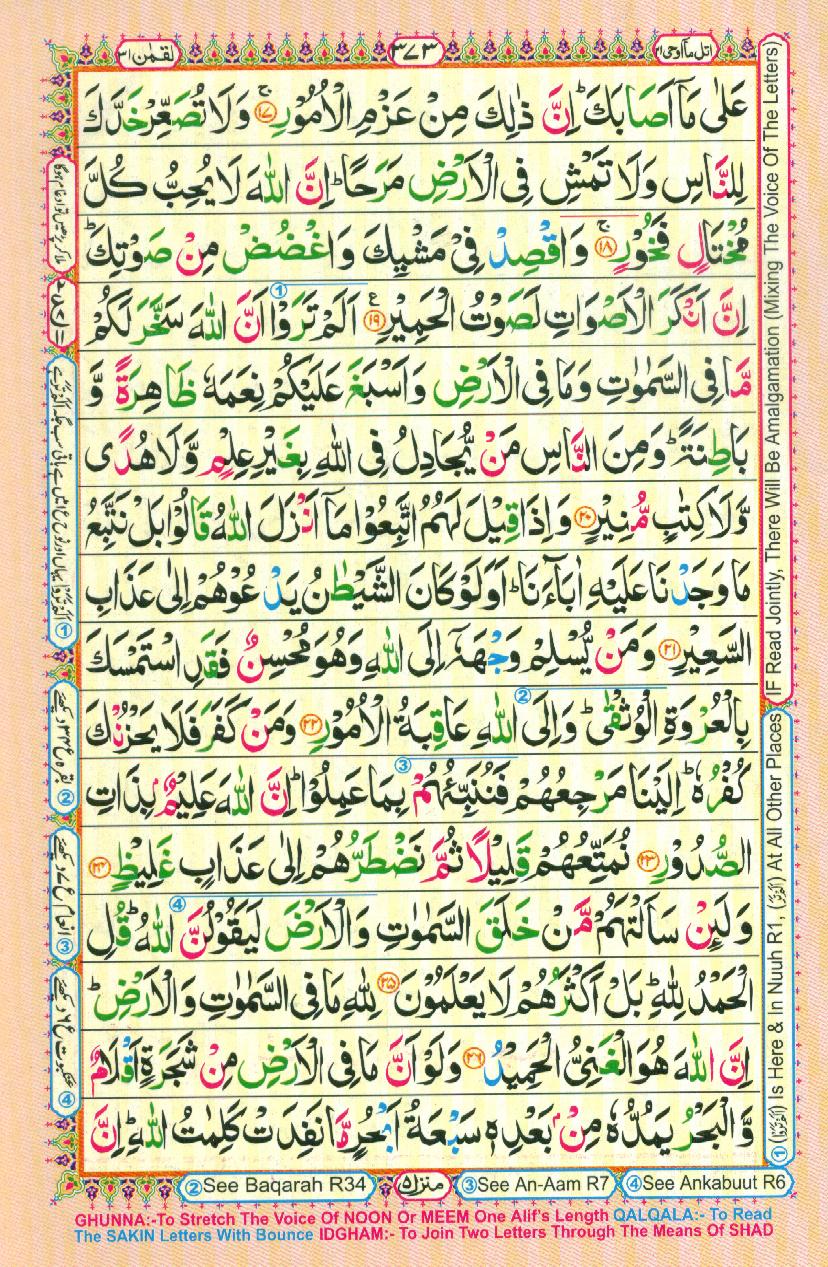 Read 16 Lines Coloured Al Quran Part 21 Page No 373, Practice Quran