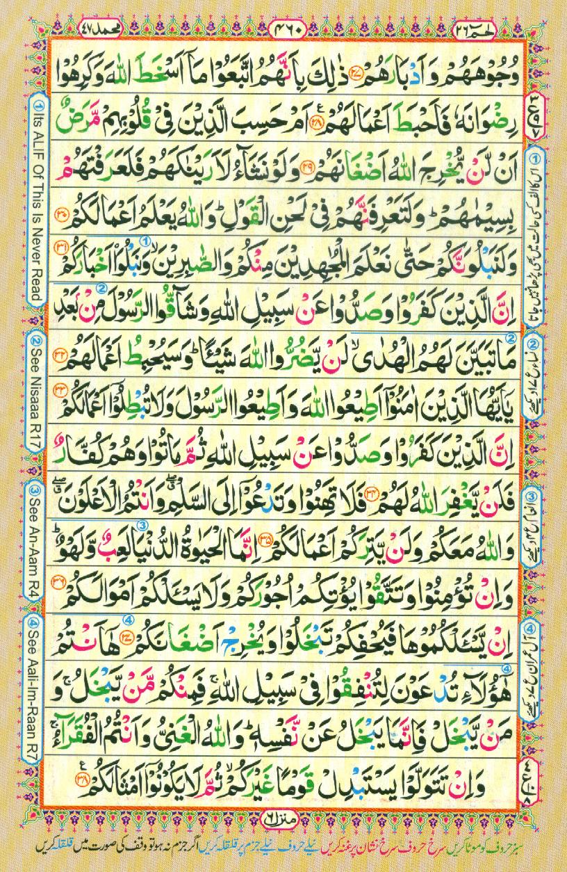 Read 16 Lines Coloured Al Quran Part 26 Page No 460, Practice Quran